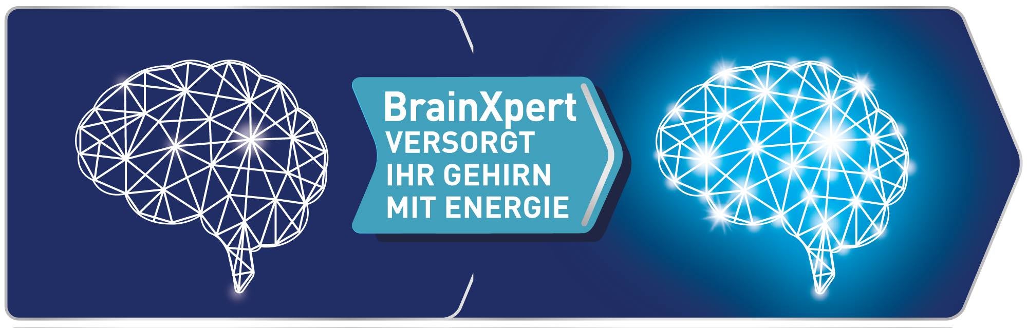 BrainXpert brain