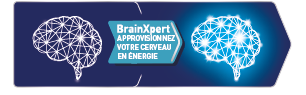 BrainXpert brain