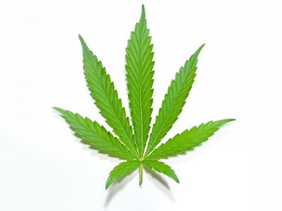 Hemp Leaf